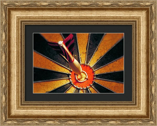 Target - Framed Print