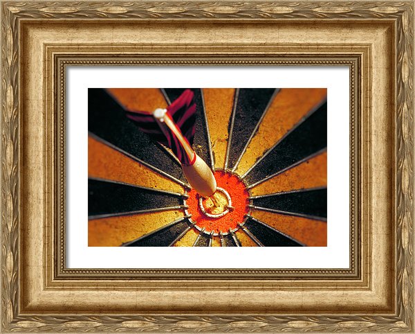 Target - Framed Print