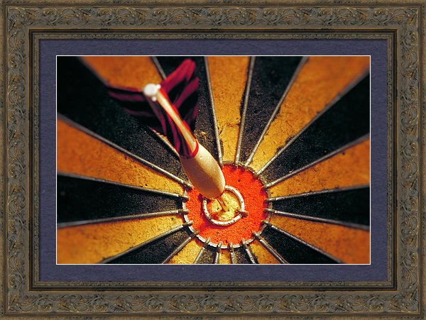 Target - Framed Print