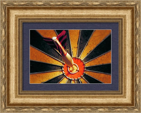 Target - Framed Print