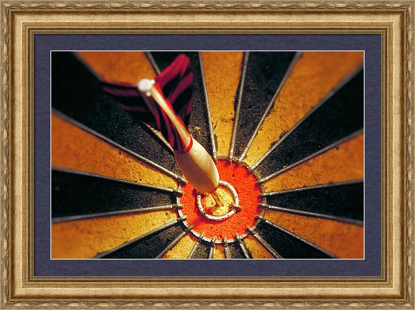 Target - Framed Print
