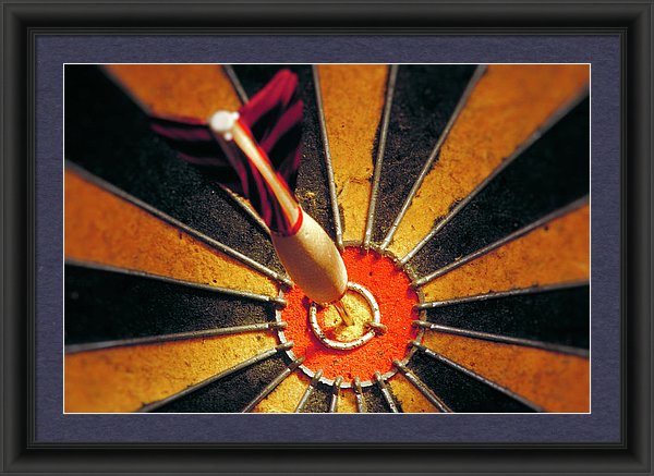 Target - Framed Print
