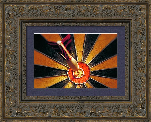 Target - Framed Print