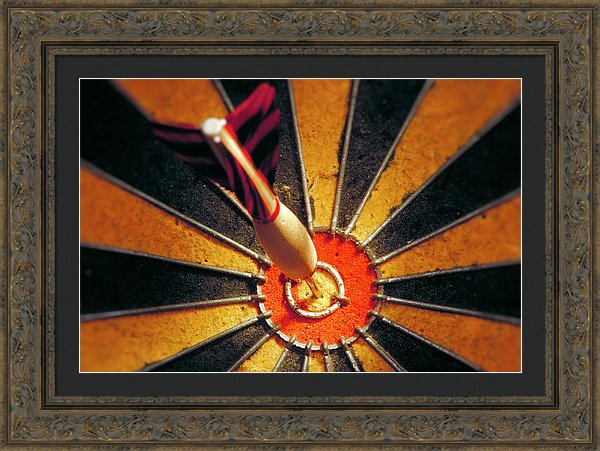 Target - Framed Print