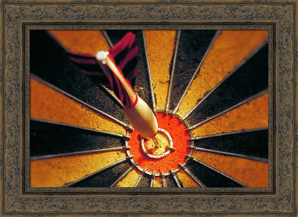 Target - Framed Print