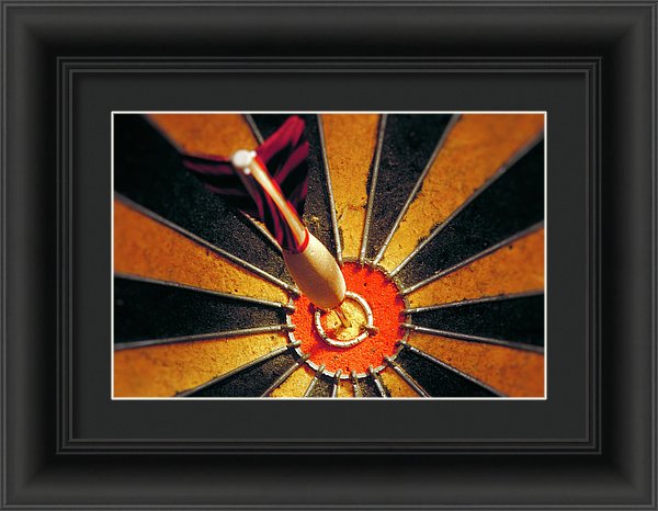Target - Framed Print