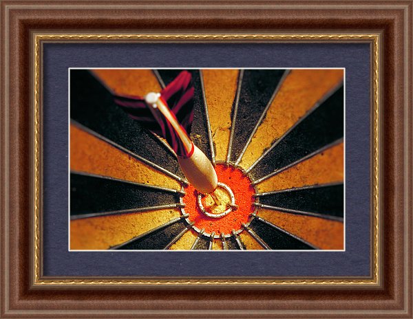 Target - Framed Print