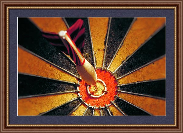 Target - Framed Print