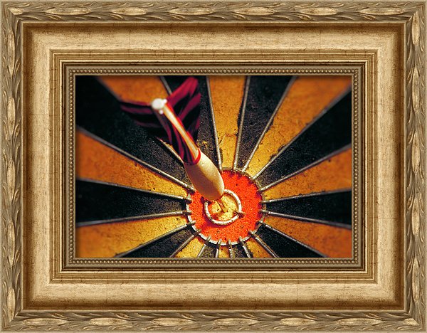 Target - Framed Print