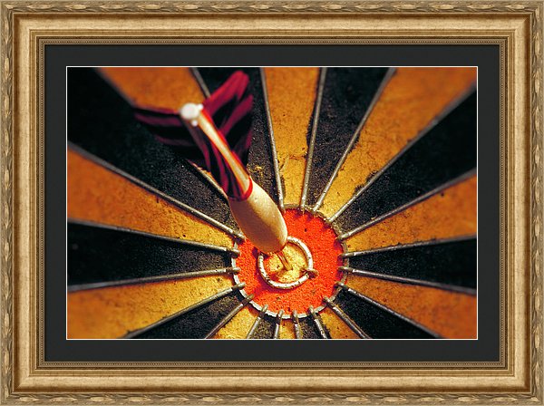 Target - Framed Print
