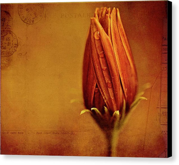 Test Image - Canvas Print