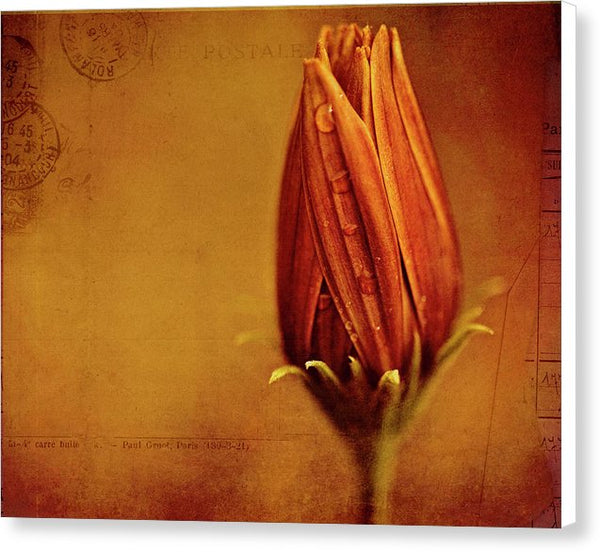 Test Image - Canvas Print