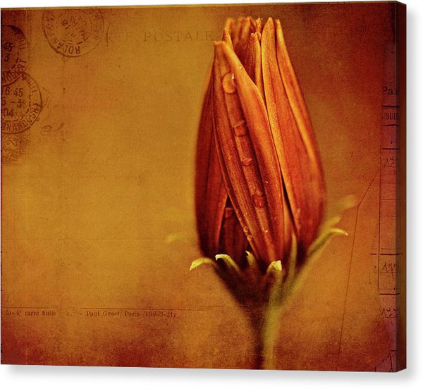 Test Image - Canvas Print