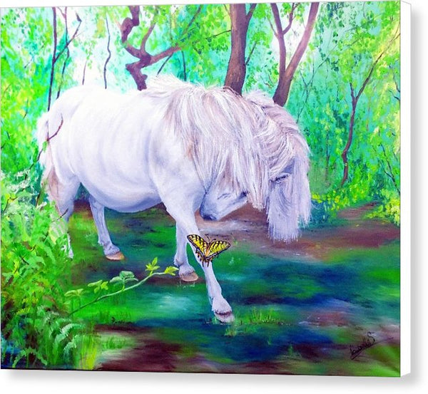 The Butterfly And The Pony - Canvas Print