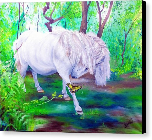 The Butterfly And The Pony - Canvas Print