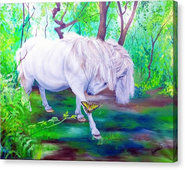 The Butterfly And The Pony - Canvas Print