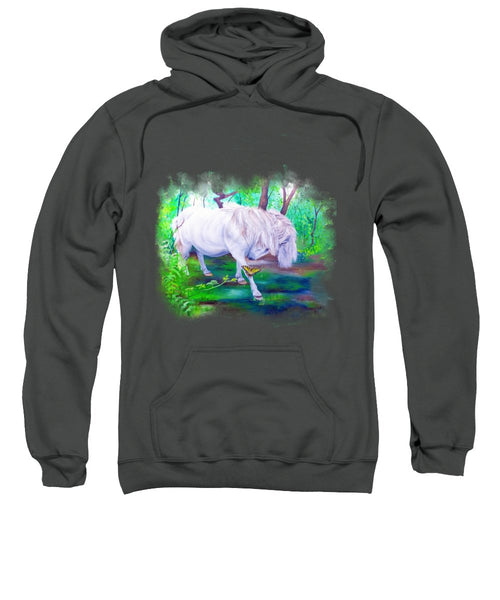 The Butterfly And The Pony - Sweatshirt