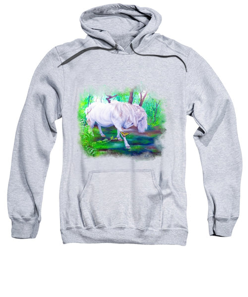 The Butterfly And The Pony - Sweatshirt