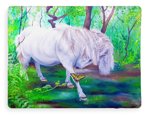 The Butterfly And The Pony - Blanket