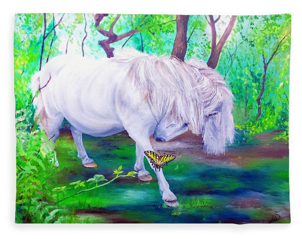 The Butterfly And The Pony - Blanket