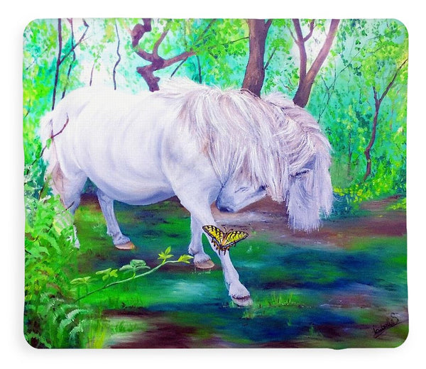 The Butterfly And The Pony - Blanket