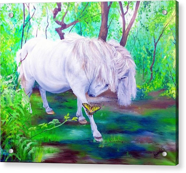 The Butterfly And The Pony - Acrylic Print