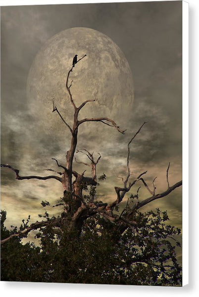 Canvas Print - The Crow Tree