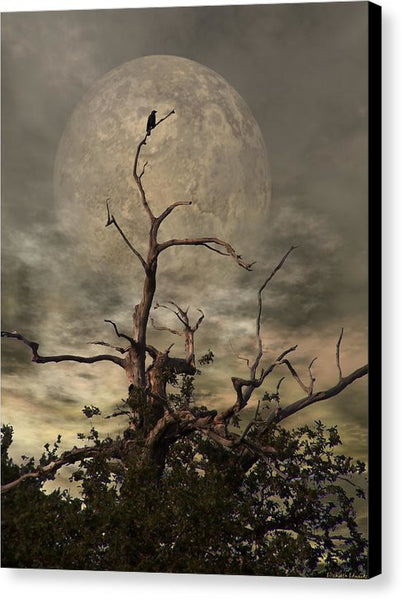 Canvas Print - The Crow Tree