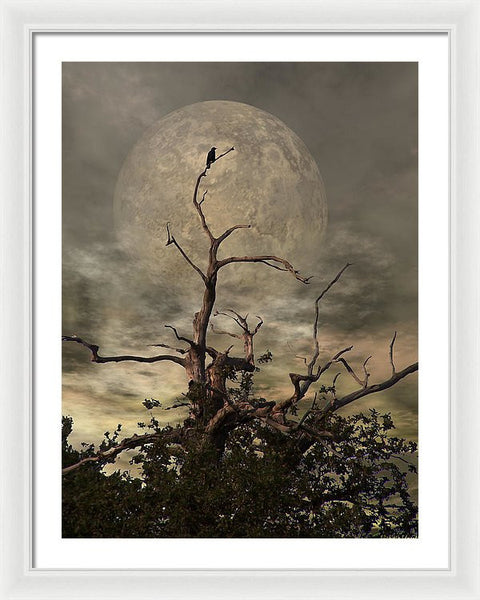 Framed Print - The Crow Tree