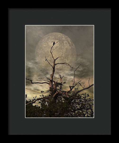 Framed Print - The Crow Tree