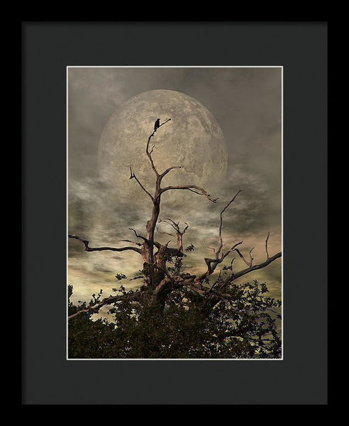 Framed Print - The Crow Tree