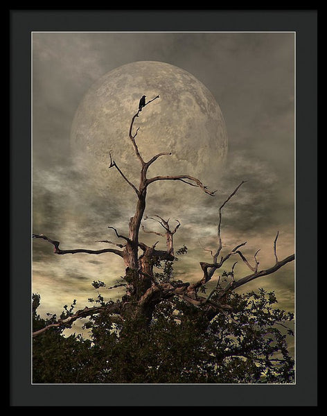 Framed Print - The Crow Tree