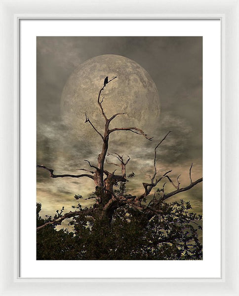 Framed Print - The Crow Tree