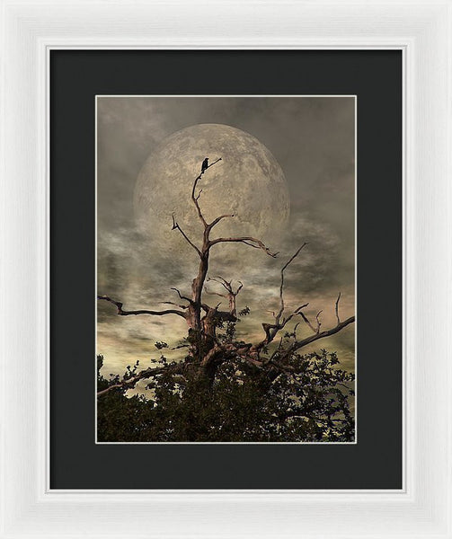 Framed Print - The Crow Tree