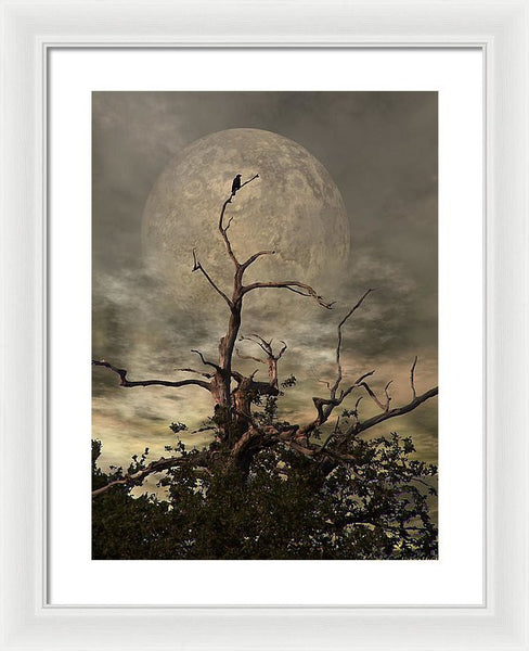Framed Print - The Crow Tree