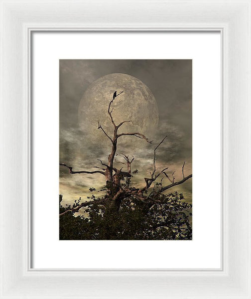 Framed Print - The Crow Tree