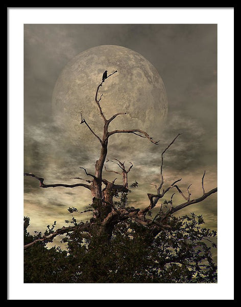 Framed Print - The Crow Tree