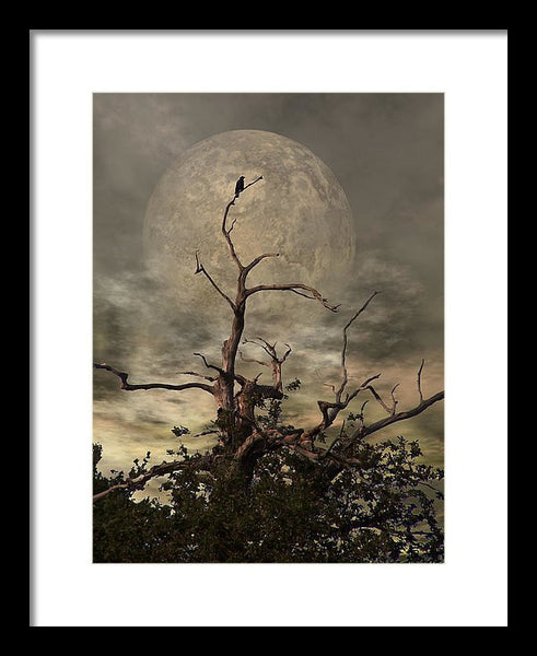 Framed Print - The Crow Tree