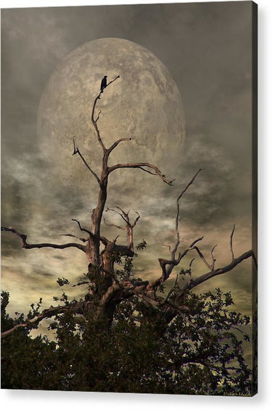Acrylic Print - The Crow Tree