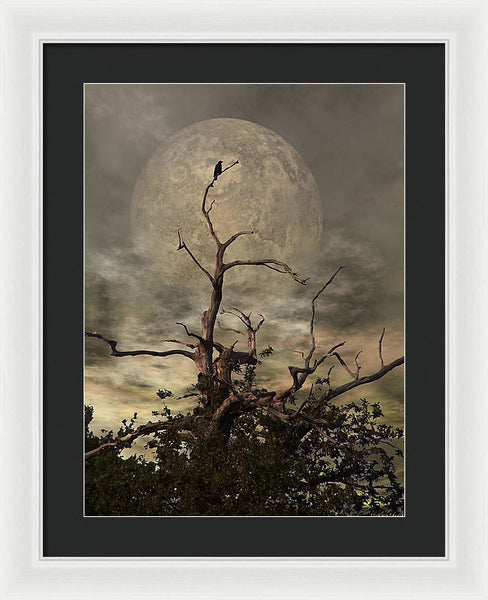 Framed Print - The Crow Tree