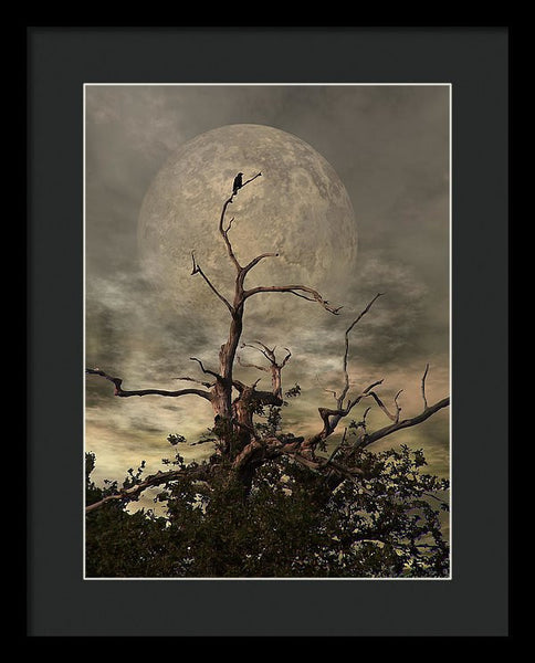 Framed Print - The Crow Tree