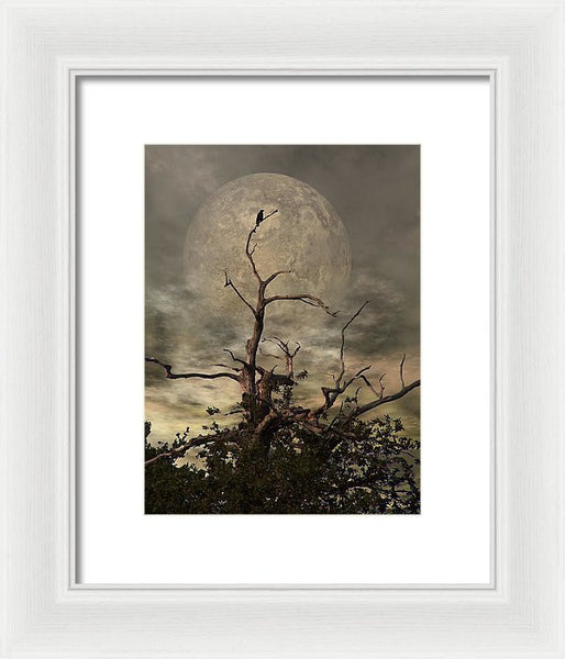 Framed Print - The Crow Tree