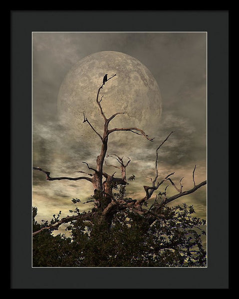 Framed Print - The Crow Tree