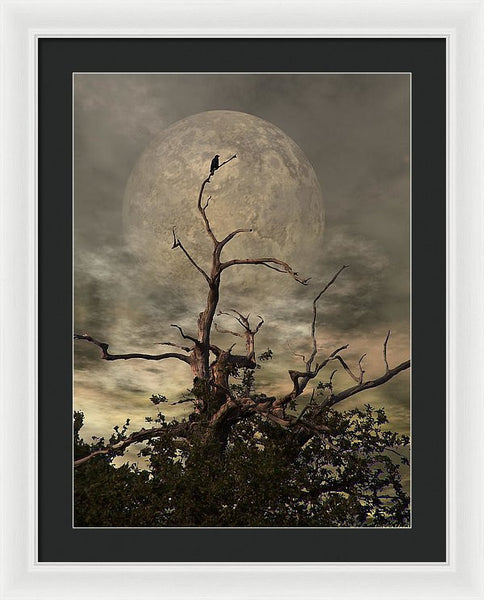 Framed Print - The Crow Tree