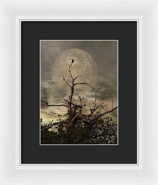 Framed Print - The Crow Tree