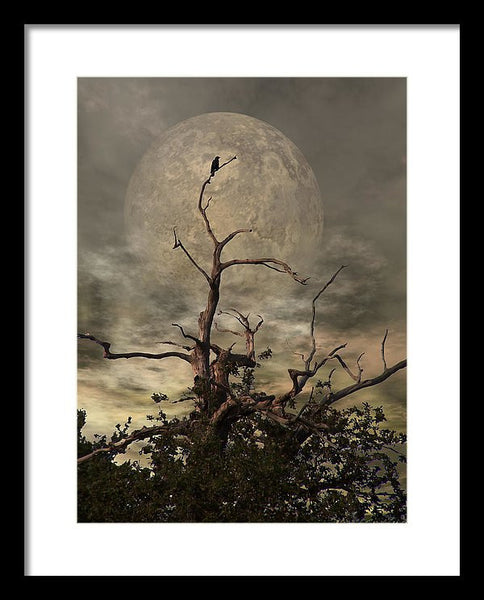 Framed Print - The Crow Tree