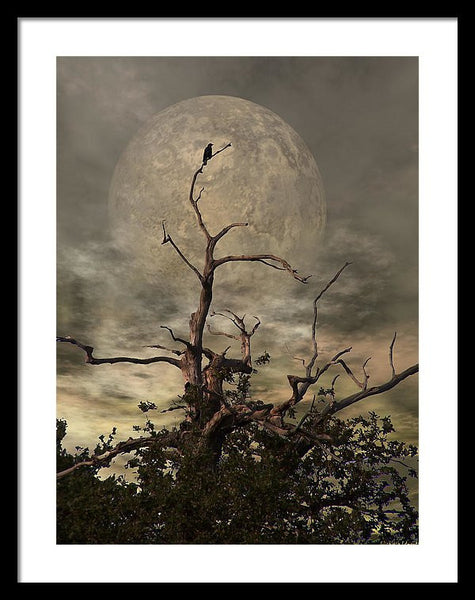 Framed Print - The Crow Tree