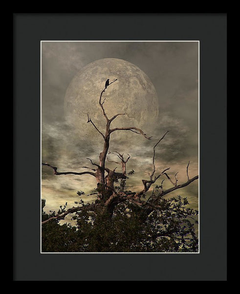 Framed Print - The Crow Tree