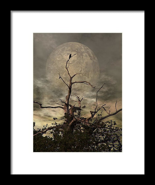 Framed Print - The Crow Tree