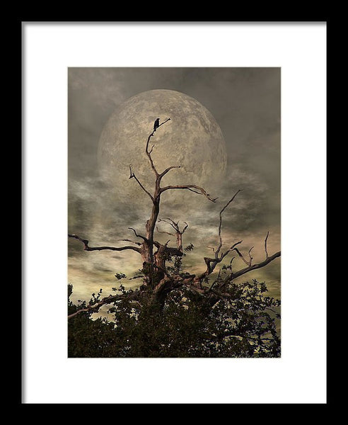 Framed Print - The Crow Tree